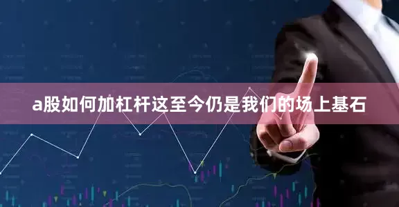 a股如何加杠杆这至今仍是我们的场上基石