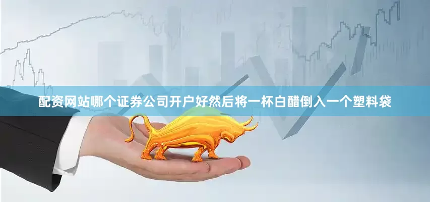 配资网站哪个证券公司开户好然后将一杯白醋倒入一个塑料袋