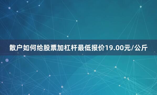 散户如何给股票加杠杆最低报价19.00元/公斤